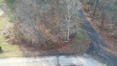 1 Wells St, South Haven, MI 49090 - photo 6