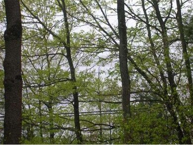 168 Massapoag Ave, Sharon, MA 02067 - photo 7