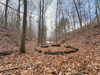 14418 State Route 93, Logan, OH 43138 - photo 4