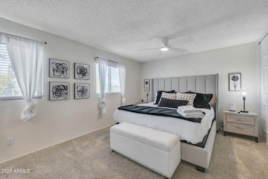 5001 E Bloomfield Rd, Scottsdale, AZ 85254 - photo 6