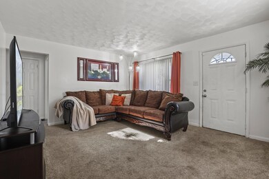 cozy living room