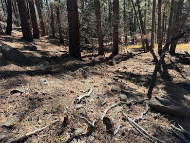 TBD Brazos Lodge Spruce, Chama, NM 87520 - photo 6