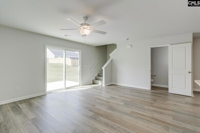 268 Bangalore Way, Gilbert, SC 29054 - photo 7