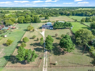 1320 W State Highway 243, Canton, TX 75103 - photo 3