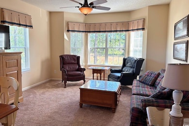 Carpeted living area with a ceiling fan, plenty of natural light, and a textured ceiling