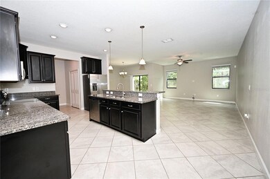 28522 Tranquil Lake Cir, Wesley Chapel, FL 33543 - photo 6
