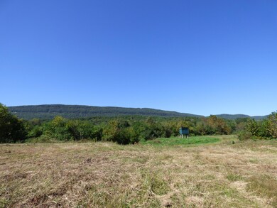 0 Chamberlain Rd unit 1236036, La Fayette, GA 30728 - photo 5