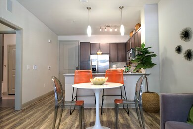 3788 Richmond Ave unit 1481, Houston, TX 77046 - photo 5