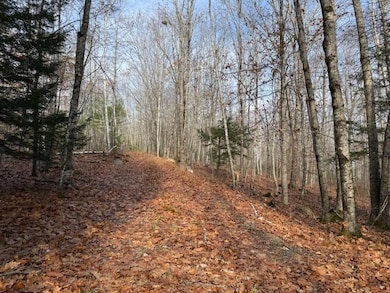 M4A L71 Lone Indian Trail, Augusta, ME 04330 - photo 3