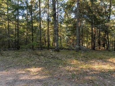 Lot 3 Other, Danbury, WI 54830 - photo 5
