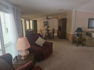 138948 NE 245th Street Rd, Fort Mc Coy, FL 32134 - photo 7