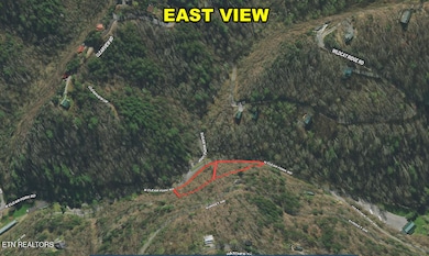 east view