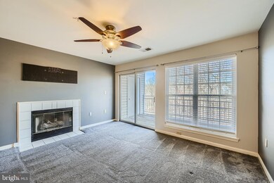 5225 Wagon Shed Cir, Owings Mills, MD 21117 - photo 2