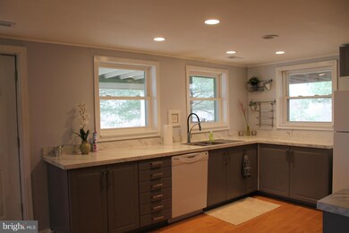 10389 River Rd, Rixeyville, VA 22737 - photo 6