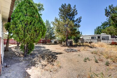 Back Yard 1