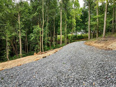 0 Restmore Ln, Stanley, VA 22851 - photo 6