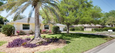 Palm Trees and Landscape