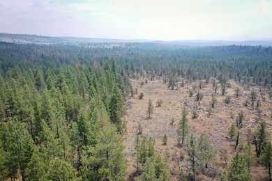 0 Chicken Hawk unit 25693802, Bonanza, OR 97623 - photo 3