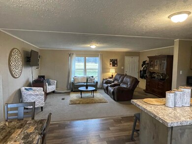 1595 Old Mountain Rd, Greeneville, TN 37743 - photo 2