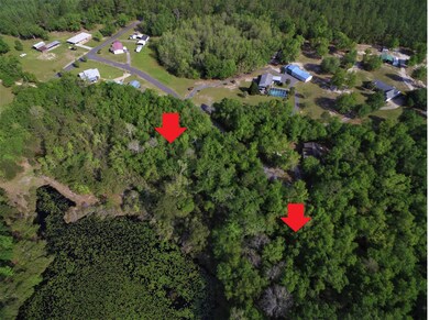 Lot 3 Three Sisters Rd, Crawfordville, FL 32327 - photo 7