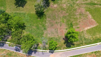 Aerial IV