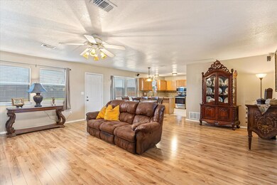 3938 Country Meadows Cir, Granbury, TX 76049 - photo 5