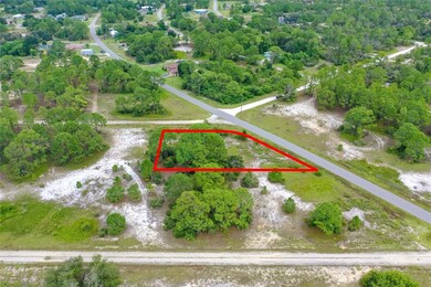 339 Tahiti Ave, Lake Placid, FL 33852 - photo 4