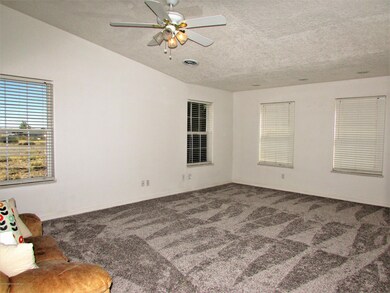58 Road 3900, Farmington, NM 87401 - photo 4