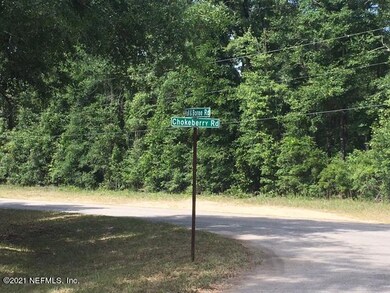 4176 Chokeberry Rd, Middleburg, FL 32068 - photo 3