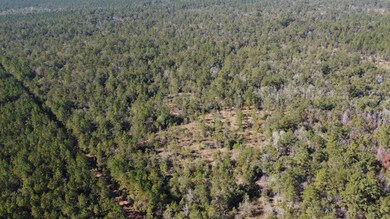 TBD Joe Lorenz Rd, Singer, LA 70660 - photo 5