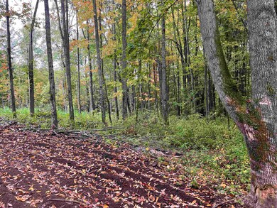 002 Duck Pond Rd, West Glover, VT 05822 - photo 6