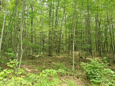 00 Bryant Mill Rd, Tamworth, NH 03886 - photo 3