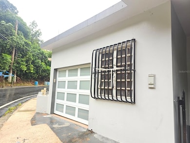 165 Calle Barcelo, Barranquitas, PR 00794 - photo 2