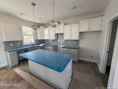 1009 Ivory Ln, West End, NC 27376 - photo 4