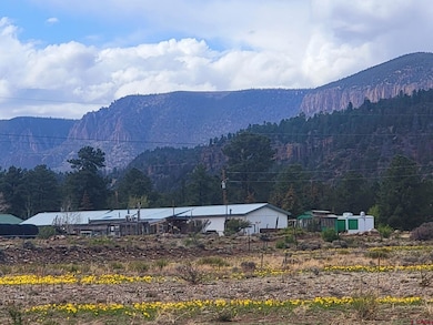 22 Cedar Dr, Del Norte, CO 81132 - photo 5