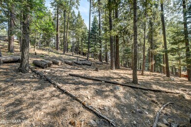 Beautiful Pined Property