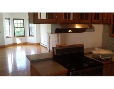 210 Warren St unit 3, Roxbury, MA 02119 - photo 2