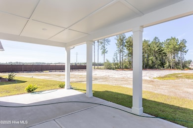 2007 Red Woodpeckers Ct # 33, Leland, NC 28451 - photo 6