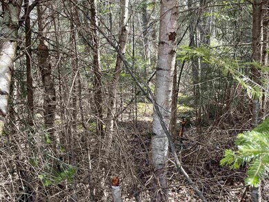 33 Leigh Ln unit 28, Colebrook, NH 03576 - photo 2