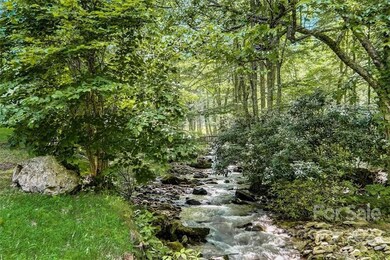 5860 Bald Mountain Rd, Burnsville, NC 28714 - photo 5