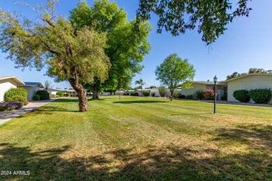 10515 W Palmeras Dr, Sun City, AZ 85373 - photo 4