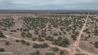 3976 High Grove Rd unit 225, Valle, AZ 86046 - photo 5