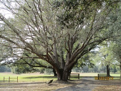 Fenced Driveway