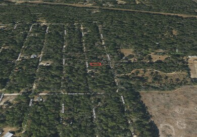 0 Chicopee Rd unit MFRT3533137, Crawfordville, FL 32327 - photo 4