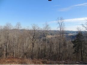 8647 Dc Caney Ridge Rd, Coeburn, VA 24230 - photo 3