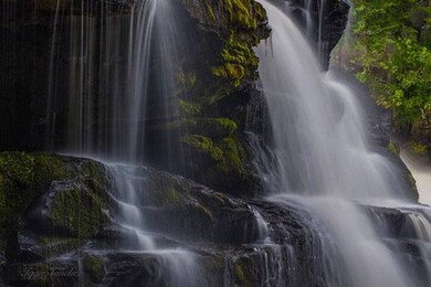 99 Rabbit Run, Sunrise Lake, PA 18337 - photo 4