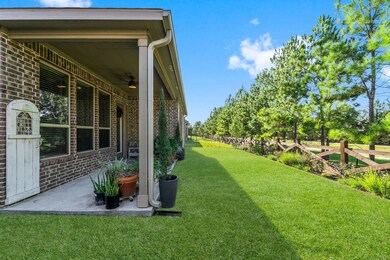 277 Shetland Dr, Spring, TX 77382 - photo 5