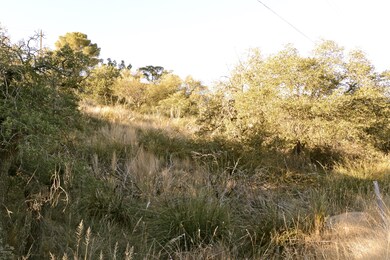 DSC_1376