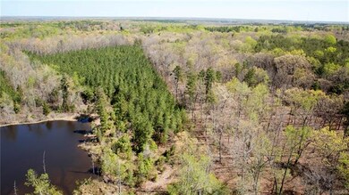 0 Will Johnson Rd, Patrick Henry, VA 23093 - photo 5