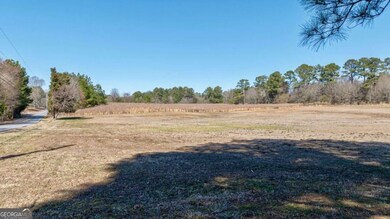 Kent Rock Road Unit: Tract 3, Loganville, GA 30052 - photo 6